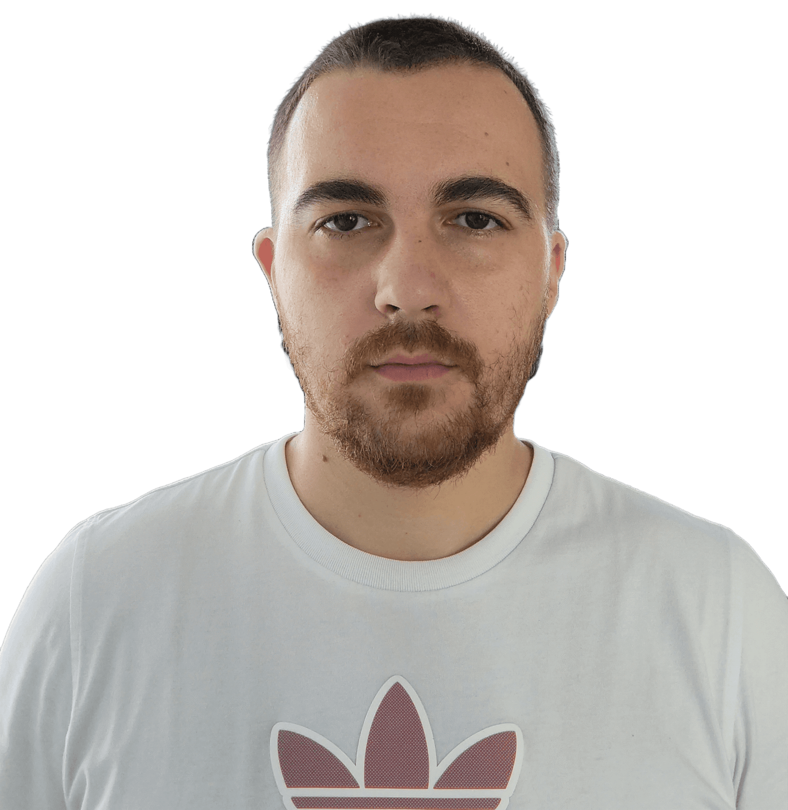 Виктор SEO Optimized